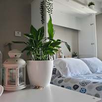 Jay's room