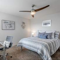Vanessa's room