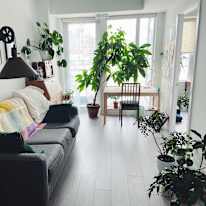Annie's room