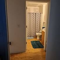 Deborah Negroni's room