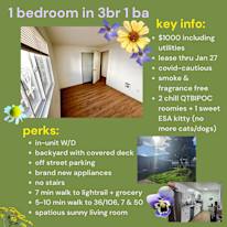 Meryl's room
