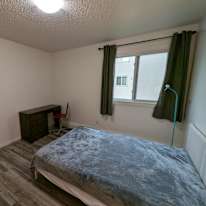 Todd's room