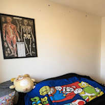 Alex's room