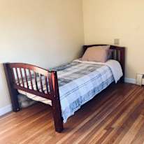 Noozy's room