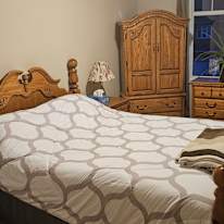 Dino's room