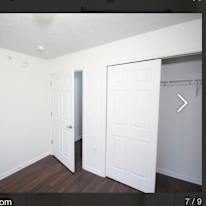 Harp's room