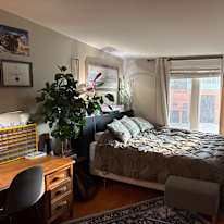 Daniel's room