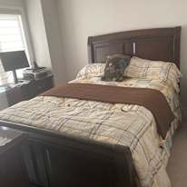 Indiana's room