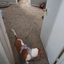 Jonathan's room