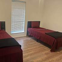 Flourishing Oasis's room