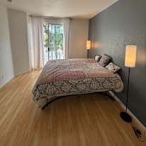 Shahla's room