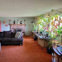 Madeleine's room
