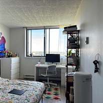 Amelie's room