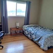 Todd's room