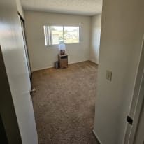 T.'s room
