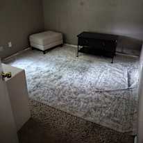 taylor's room
