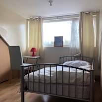 Mohammad's room