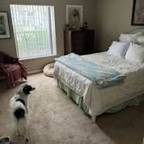 eve's room