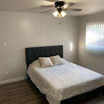 Lily's room