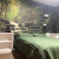 Veronica's room