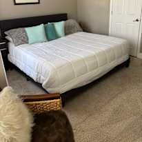 Alison's room