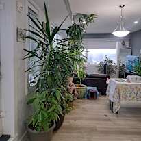 South Edmonton's room