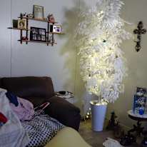 Tamara Brown's room
