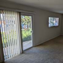 Cameron's room