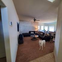 Harry's room