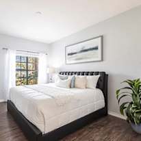 Colleen's room