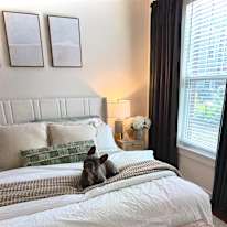 Andrea's room