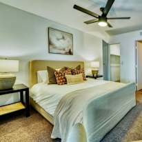 Mary's room