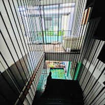 Daphne Huang's room