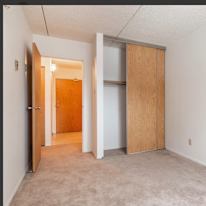 Tabby's room