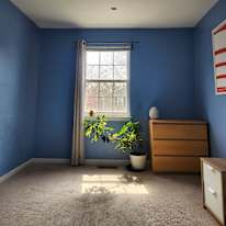 Jay's room
