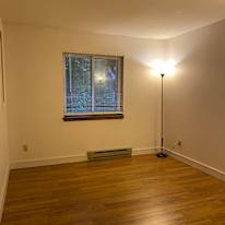 Morelle's room