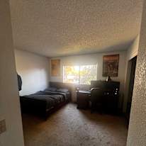 Juliet Halliday's room