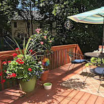 Amy's room