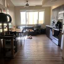 Naomi's room