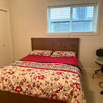 Lily's room