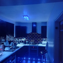 Mani's room