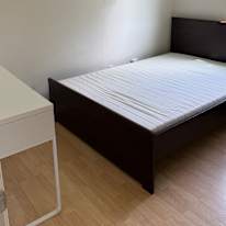 Amy's room