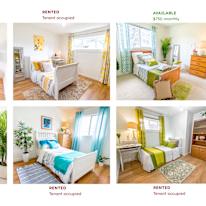 Nette's room
