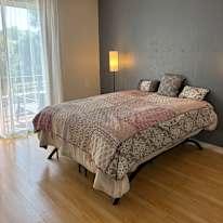Shahla's room