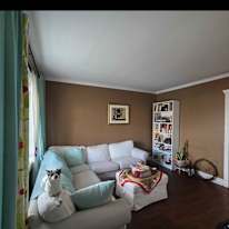 Stephanie's room