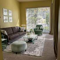 Suz's room
