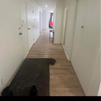 Safia Desrosiers's room