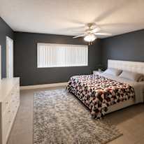 Tarek's room