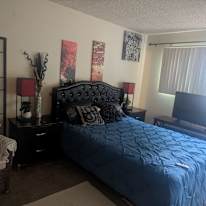 Leonardo's room