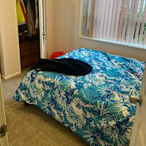 Damian Martin's room